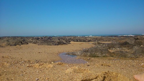 unnamed (2).jpg unnamed (2).jpg