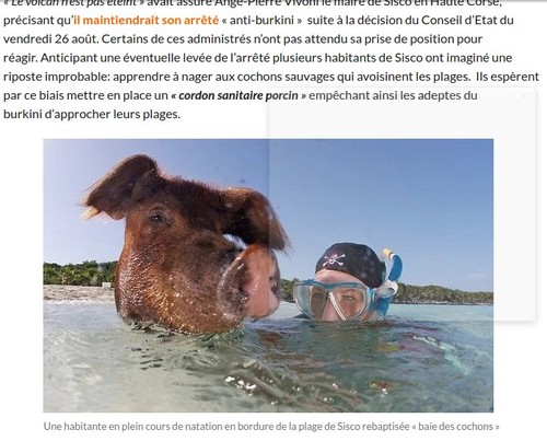 Captura de ecrã de 2016-09-02 22-37-47.jpg Captura de ecrã de 2016-09-02 22-37-47.jpg