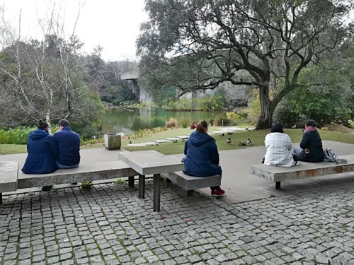 COPYRIGHT O RAPAZ DAS ILHAS COPYRIGHT O RAPAZ DAS ILHAS