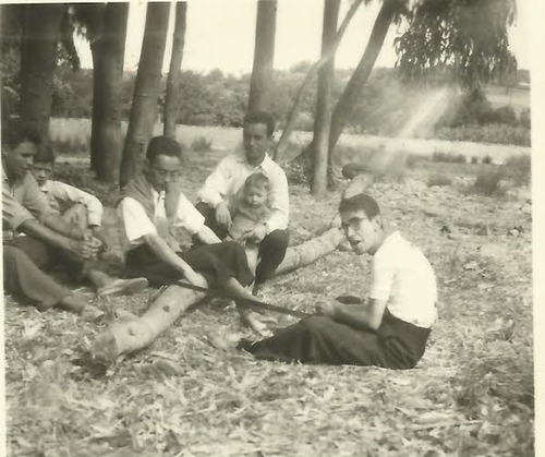 sem nome.pngescarameia2.png