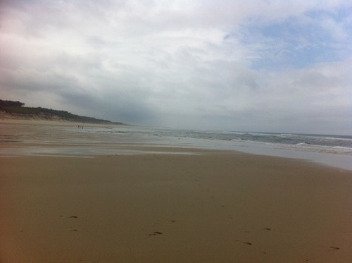 fotografia 1 (2).JPG