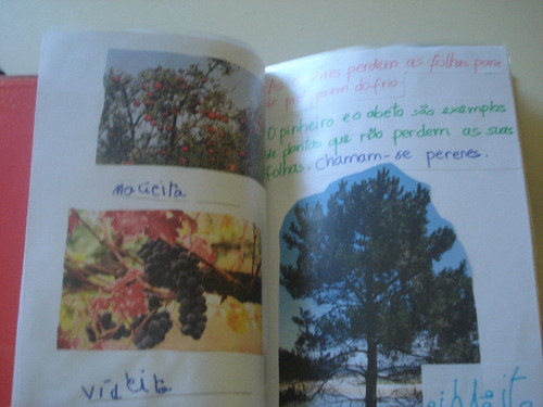 C:\Users\Boss\Desktop\Projeto das Folhas de Outono