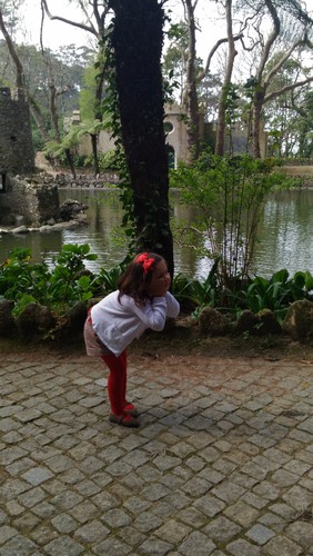 P_20170319_143853.jpg P_20170319_143853.jpg