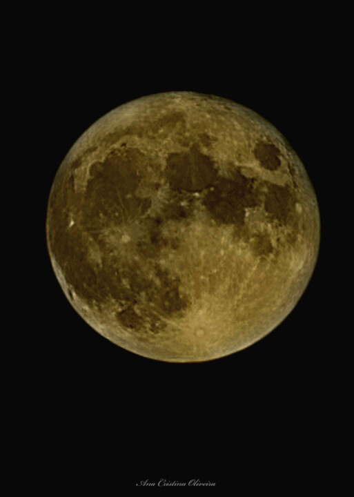 306088614_10223390724024007_8923414744112259274_n.