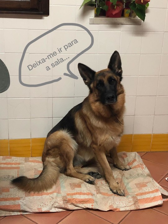 IMG-20190821-WA0000.jpg IMG-20190821-WA0000.jpg