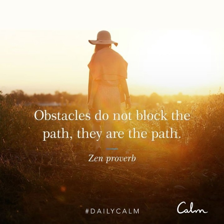 46602D85-B582-46C6-B2CD-20EFFB658542.jpeg 46602D85-B582-46C6-B2CD-20EFFB658542.jpeg