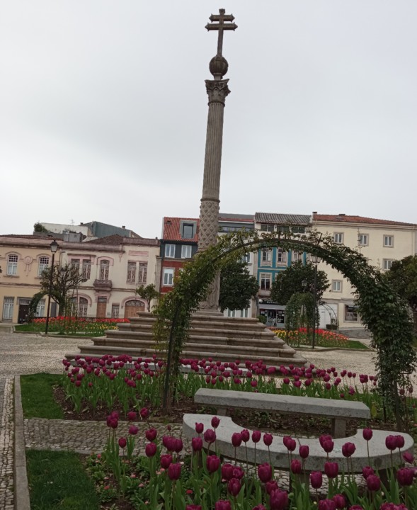 IMG_20210223_120523.jpg IMG_20210223_120523.jpg