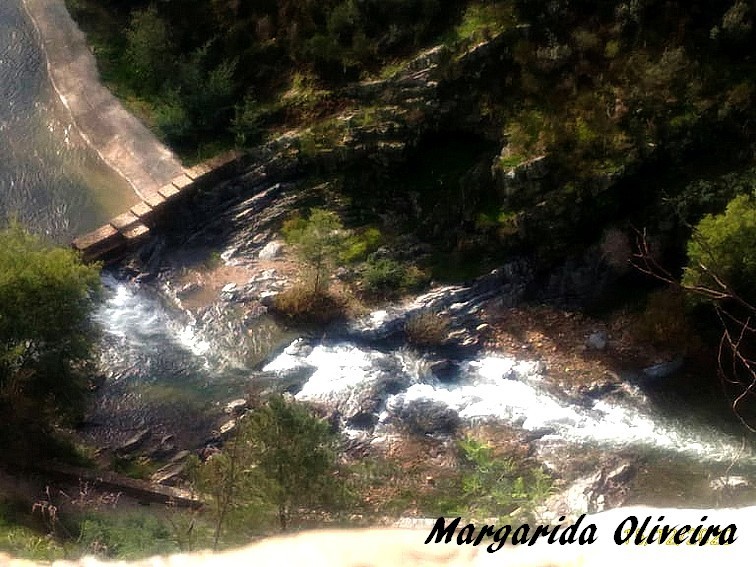 131291251_210827827202403_1582011111552682054_n.jp