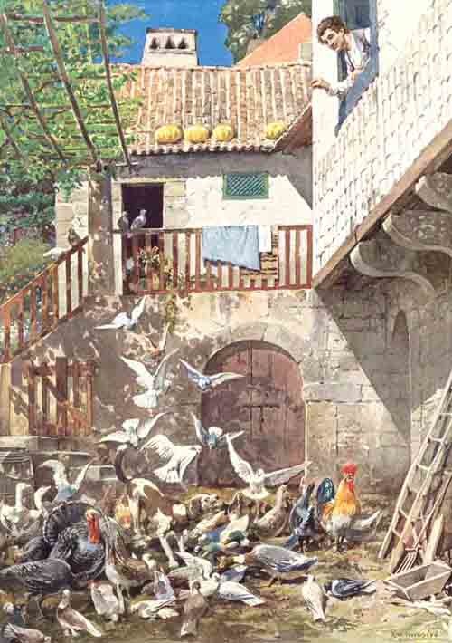 TP00 Pupilas Sr Reitor 19 c.jpg TP00 Pupilas Sr Reitor 19 c.jpg