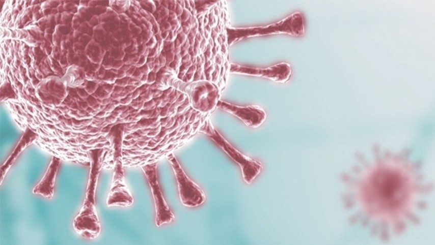 corona.jpg corona.jpg