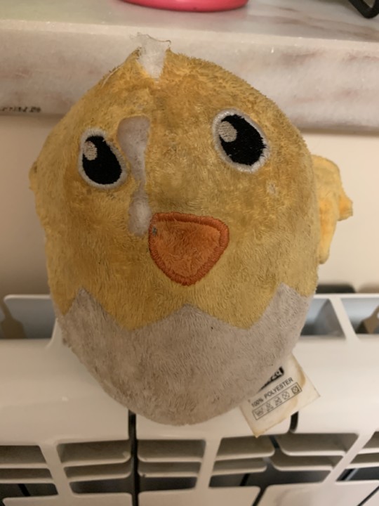 2D133F03-DA35-4039-A58A-643ABF9B474A.jpeg 2D133F03-DA35-4039-A58A-643ABF9B474A.jpeg