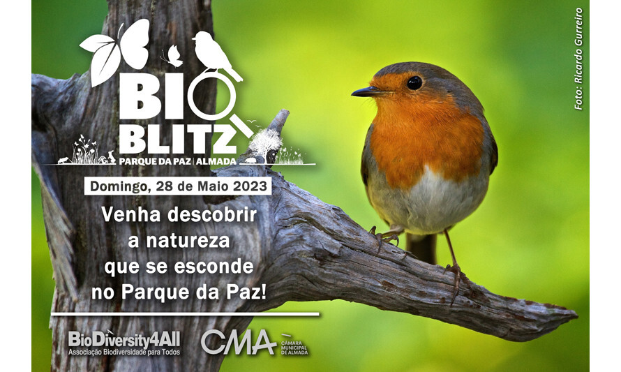 BioBlitz Parque da Paz 2023