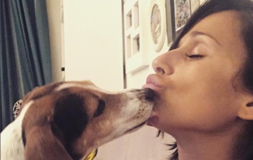 img_828x523$2017_04_15_20_40_03_52072_im_636278870 img_828x523$2017_04_15_20_40_03_52072_im_636278870