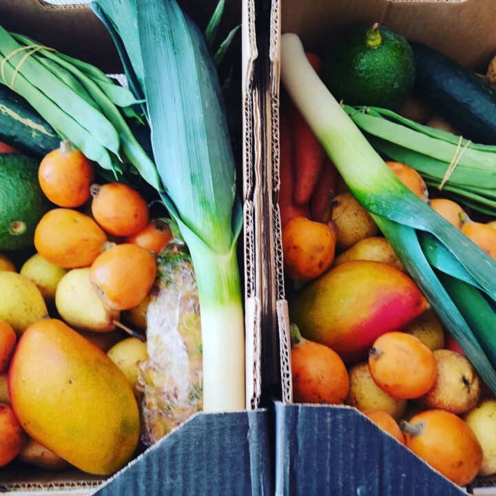 345287866_544444421189821_7146046519389712114_n.jp