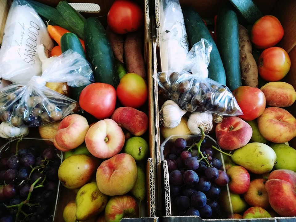 66809922_1417627421710348_1363286198151282688_n.jp