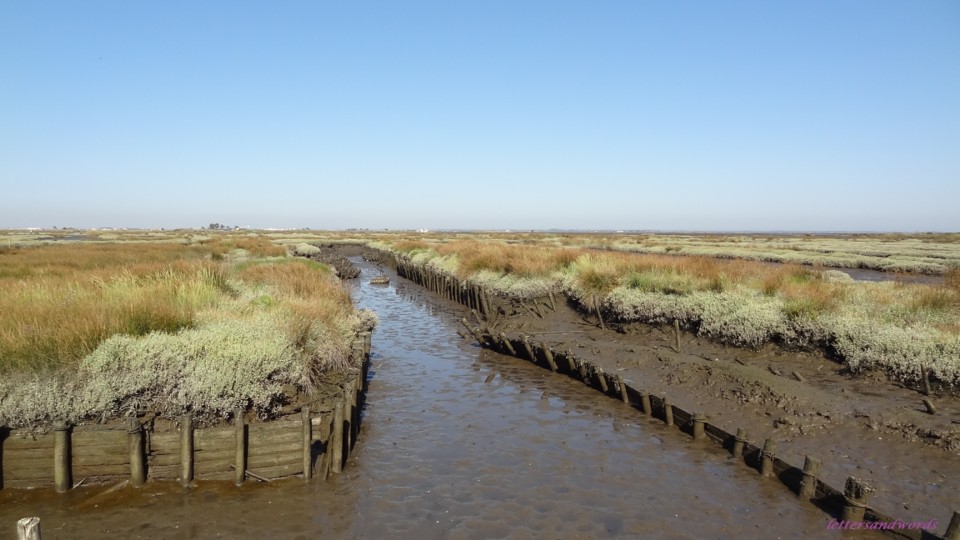 DSC07923.JPG DSC07923.JPG