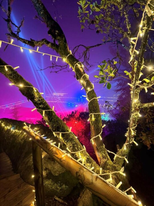 Floresta Encantada -Balanço Final (5).jpg