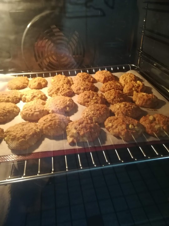 IMG_20200817_191703.jpg IMG_20200817_191703.jpg