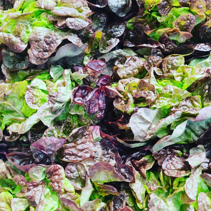 148291269_1949338071872611_8174922765921031343_o.j