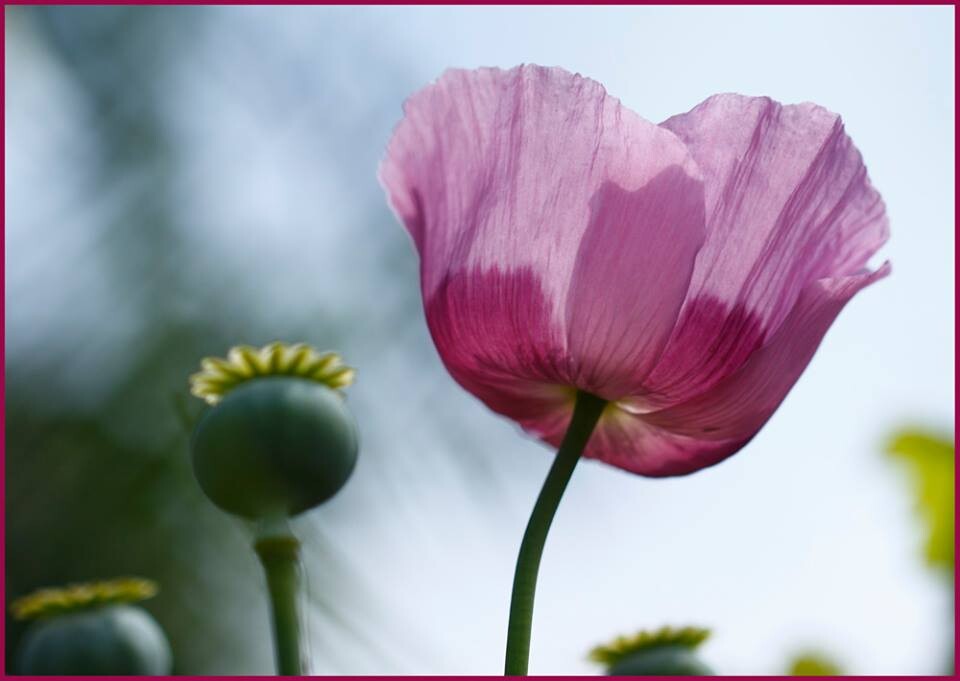 26165463_1769630176388819_3736301803693786135_n.jp