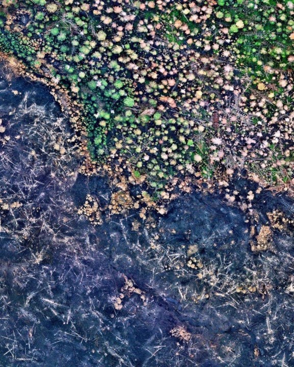 Oregon do Sul (Fogo de Bootleg).jpeg