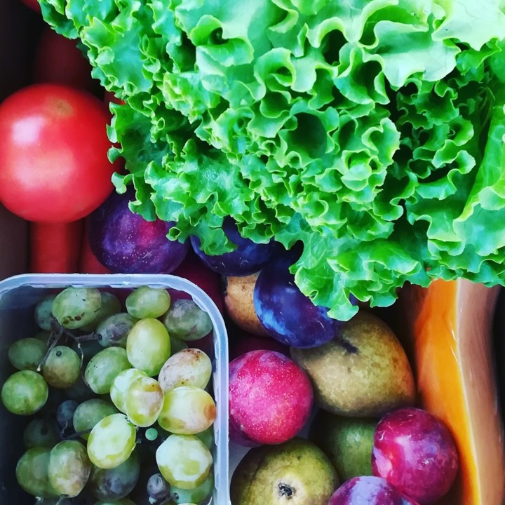 70313528_1467327126740377_7984246119095861248_n.jp