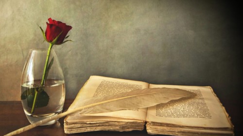 book_old_pen_table_vase_rose_red_76972_1920x1080-e