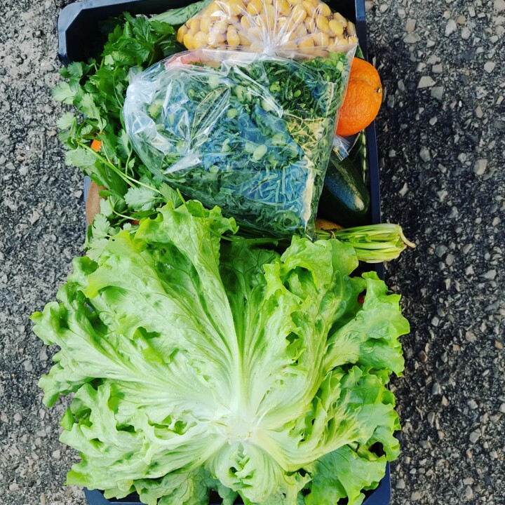 422965573_767645355392877_1448564958703357844_n.jp