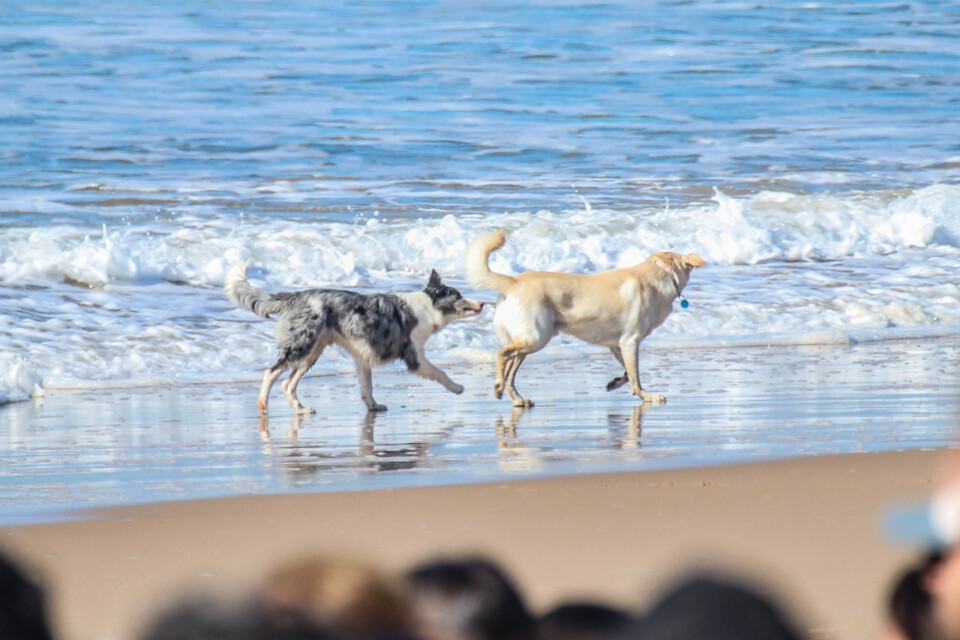 capitulo perfeito 28.jpg