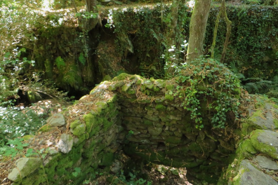 IMG_3052.JPG IMG_3052.JPG