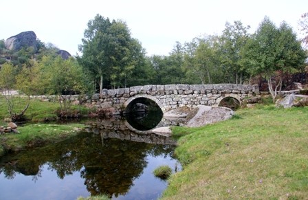 cabrum.jpg cabrum.jpg