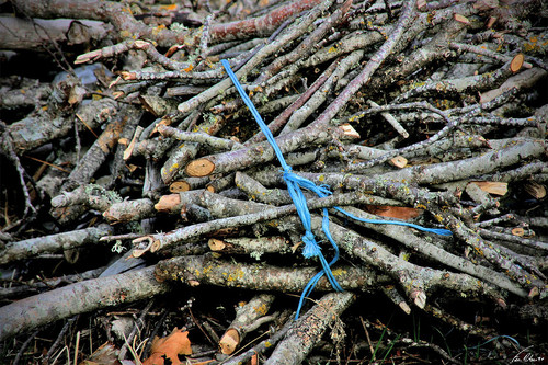 Gravetos para a lareira.jpg