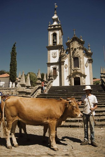 Padornelo Feira dos Tojais z5.jpg Padornelo Feira dos Tojais z5.jpg