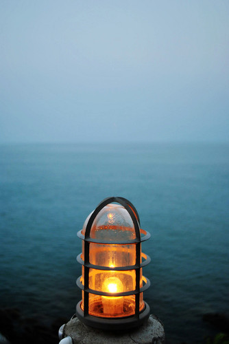 tumblr_mnn3koGoFK1qbir1qo1_1280.jpg
