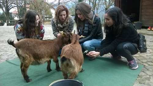 quita pedagógica (2).jpg