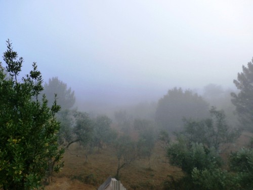 torroselo 009.jpg torroselo 009.jpg