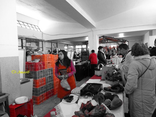 Feira do Queijo Em Seia !!! 155.jpg