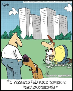 Nova imagem (24).png