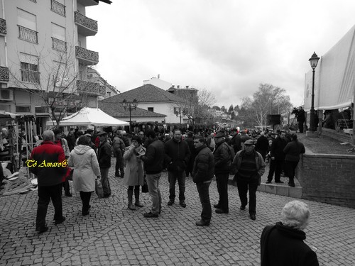 Feira do Queijo Em Seia !!! 176.jpg