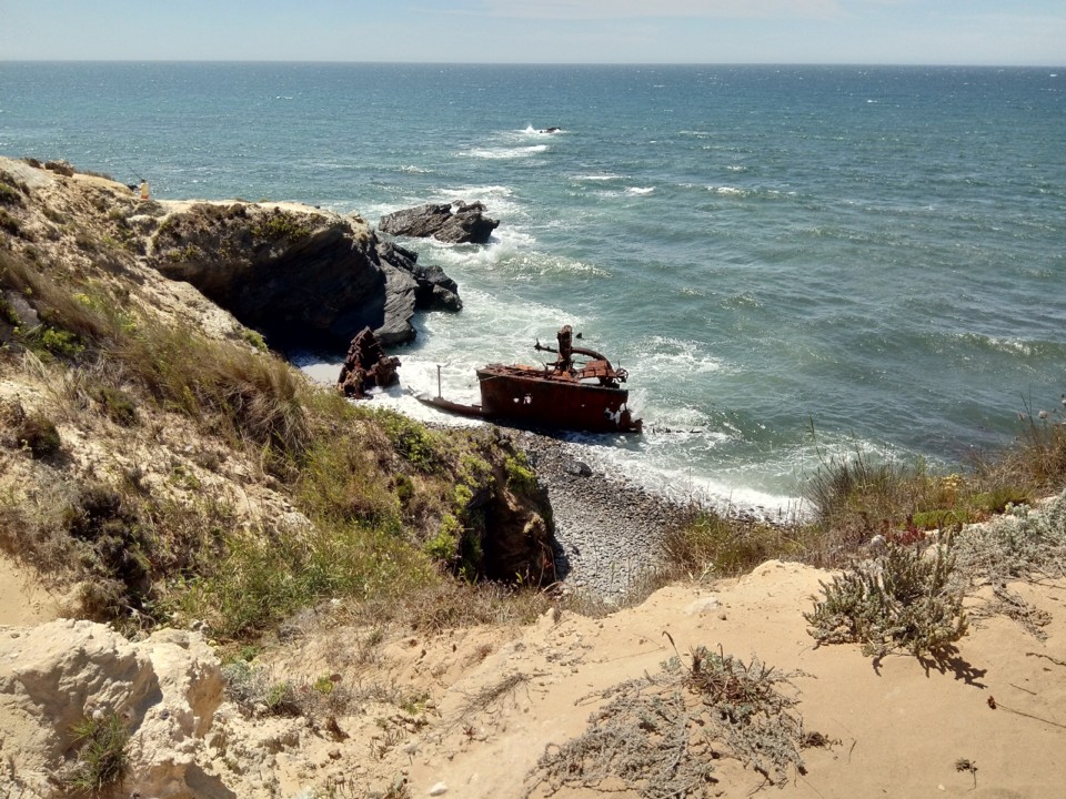 IMG_20190812_142946.jpg IMG_20190812_142946.jpg