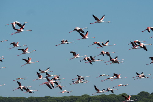 PA050131.JPG PA050131.JPG