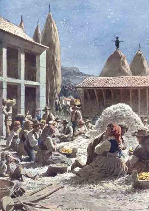 TP00 Pupilas Sr Reitor 22 c.jpg TP00 Pupilas Sr Reitor 22 c.jpg