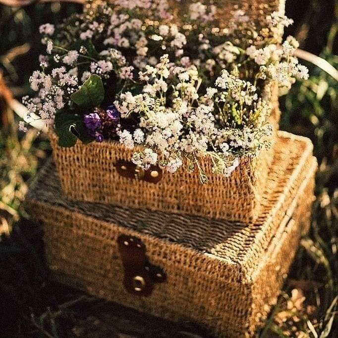 309055064_477514431080223_3987976550310970835_n.jp