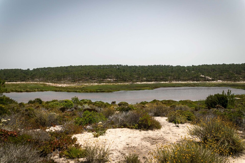 Lagoa de Santo André_bx.jpg