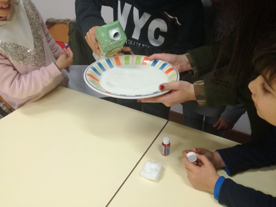 IMG_20200130_154659.jpg IMG_20200130_154659.jpg