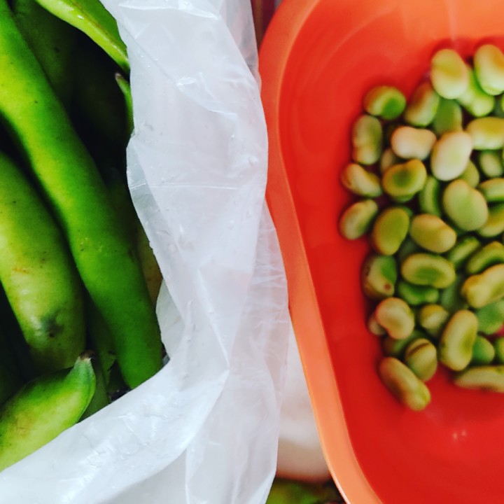 175940662_2002222639917487_2429555541411774819_n.j