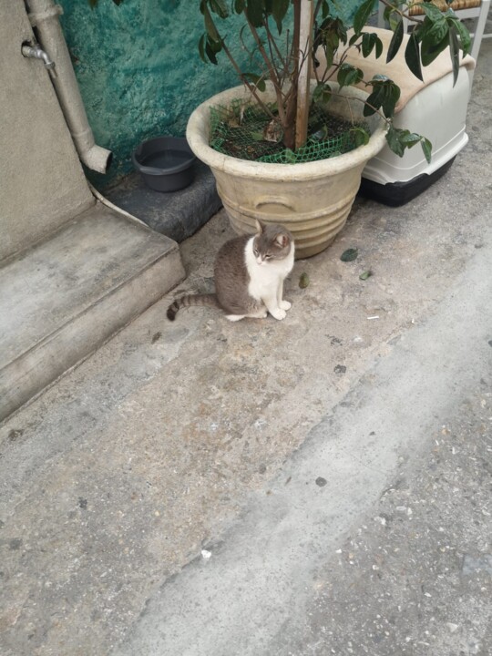 WhatsApp Image 2023-05-31 at 11.09.43.jpeg