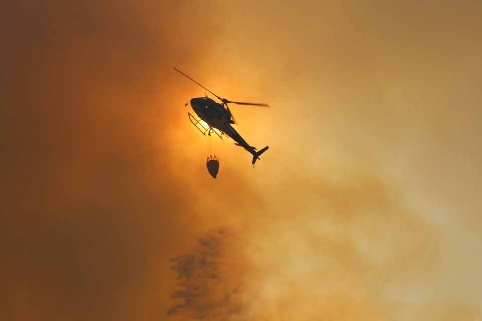 nuno alfarrobinha.jpg