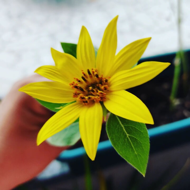 285714319_2330378457101902_7208218602373382790_n.j