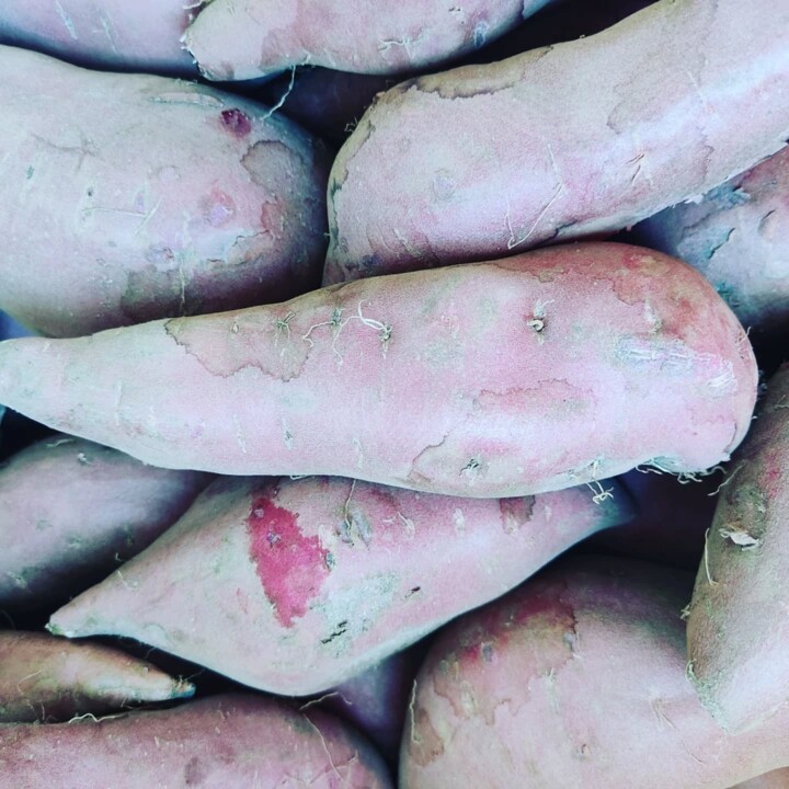 542864353_18497653420066958_7686694160653786244_n.